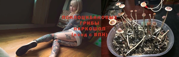 ПСИЛОЦИБИНОВЫЕ ГРИБЫ Арсеньев