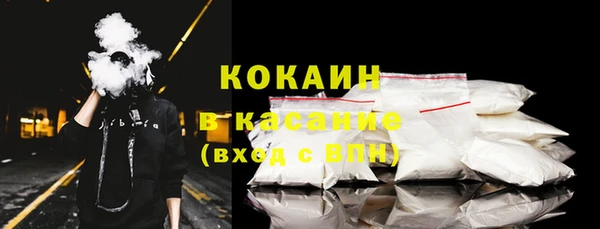 ПСИЛОЦИБИНОВЫЕ ГРИБЫ Арсеньев