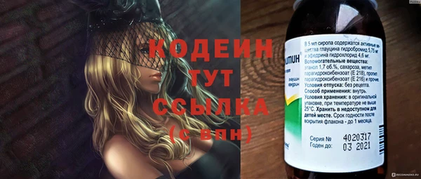 ПСИЛОЦИБИНОВЫЕ ГРИБЫ Арсеньев