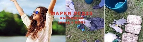 ПСИЛОЦИБИНОВЫЕ ГРИБЫ Арсеньев